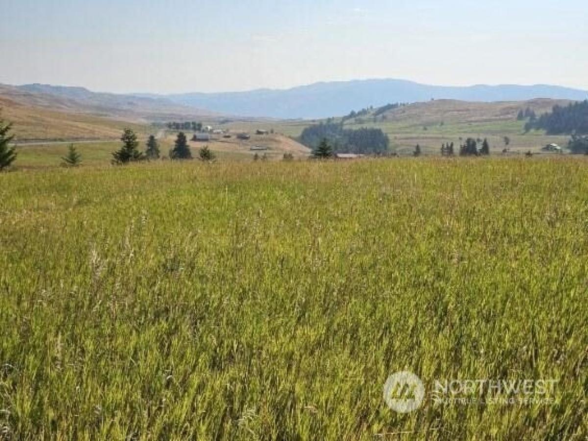 Picture of Residential Land For Sale in Oroville, Washington, United States