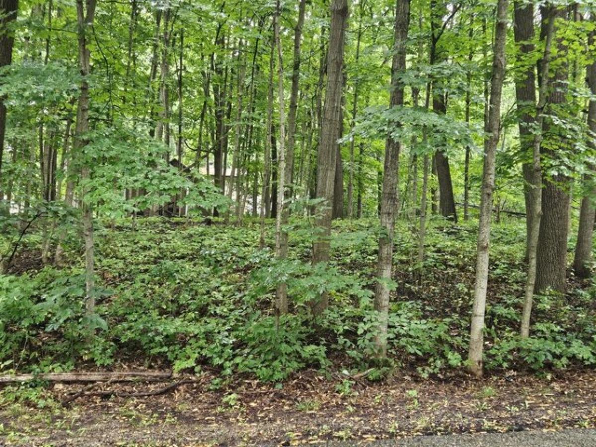 Picture of Residential Land For Sale in Muskego, Wisconsin, United States