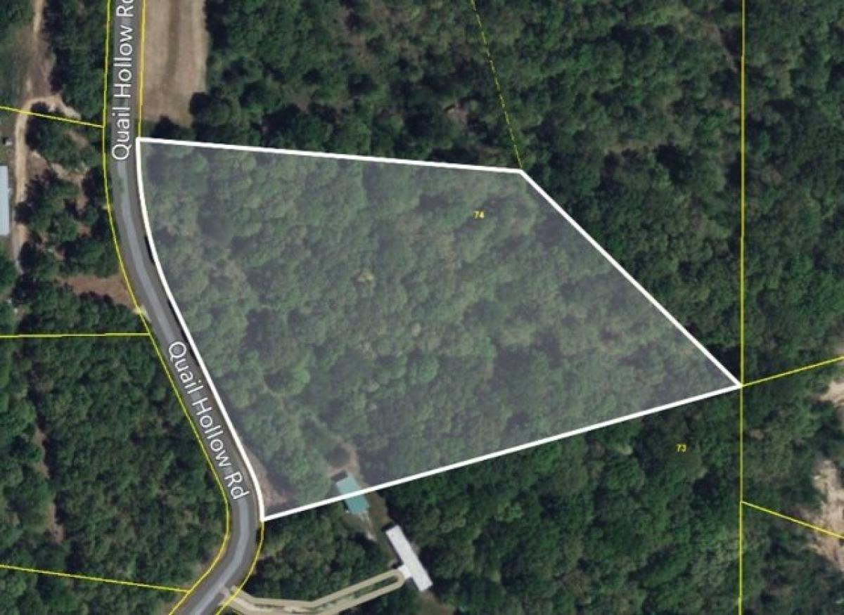 Picture of Residential Land For Sale in Summertown, Tennessee, United States