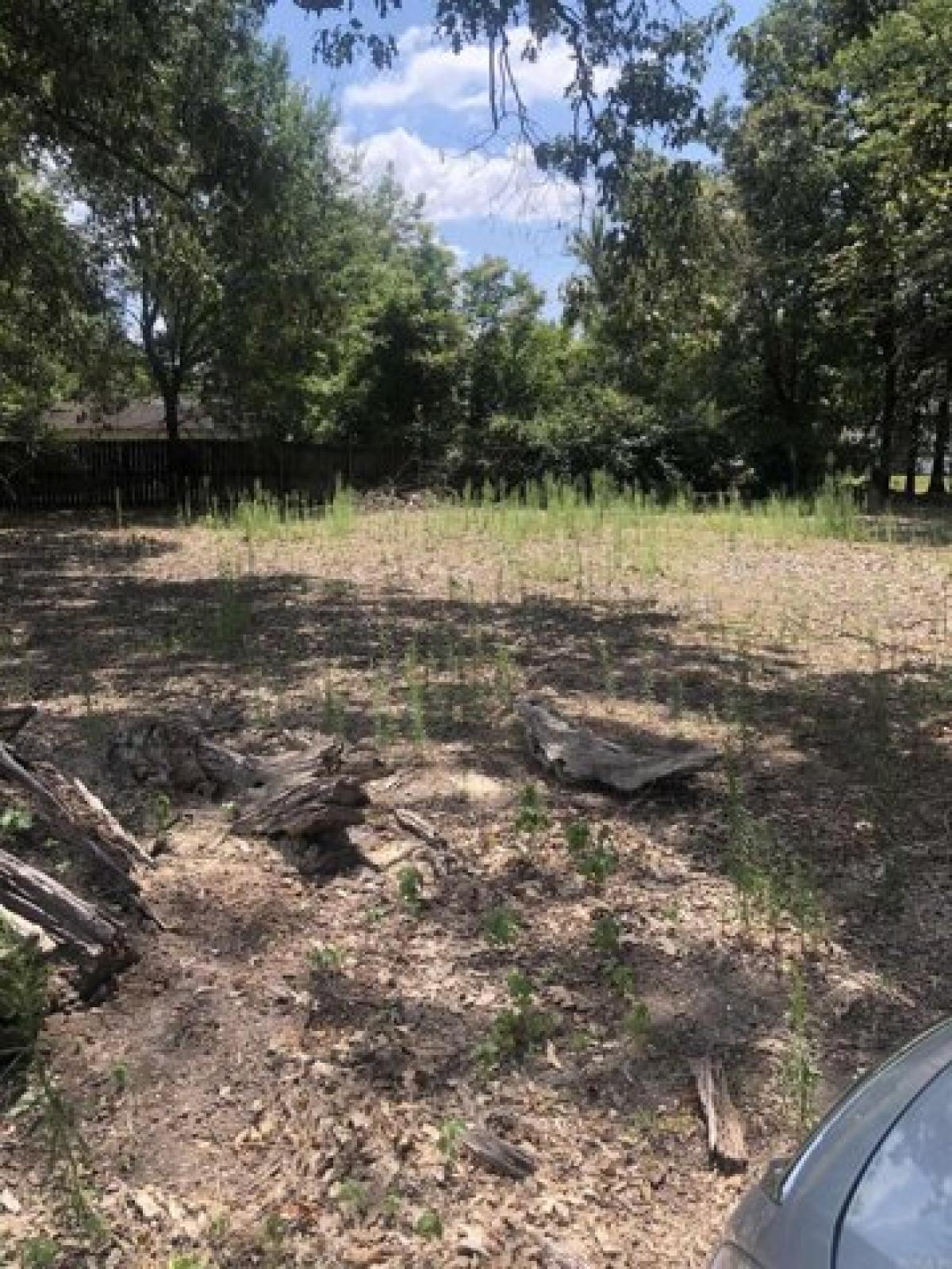 Picture of Residential Land For Rent in Paragould, Arkansas, United States