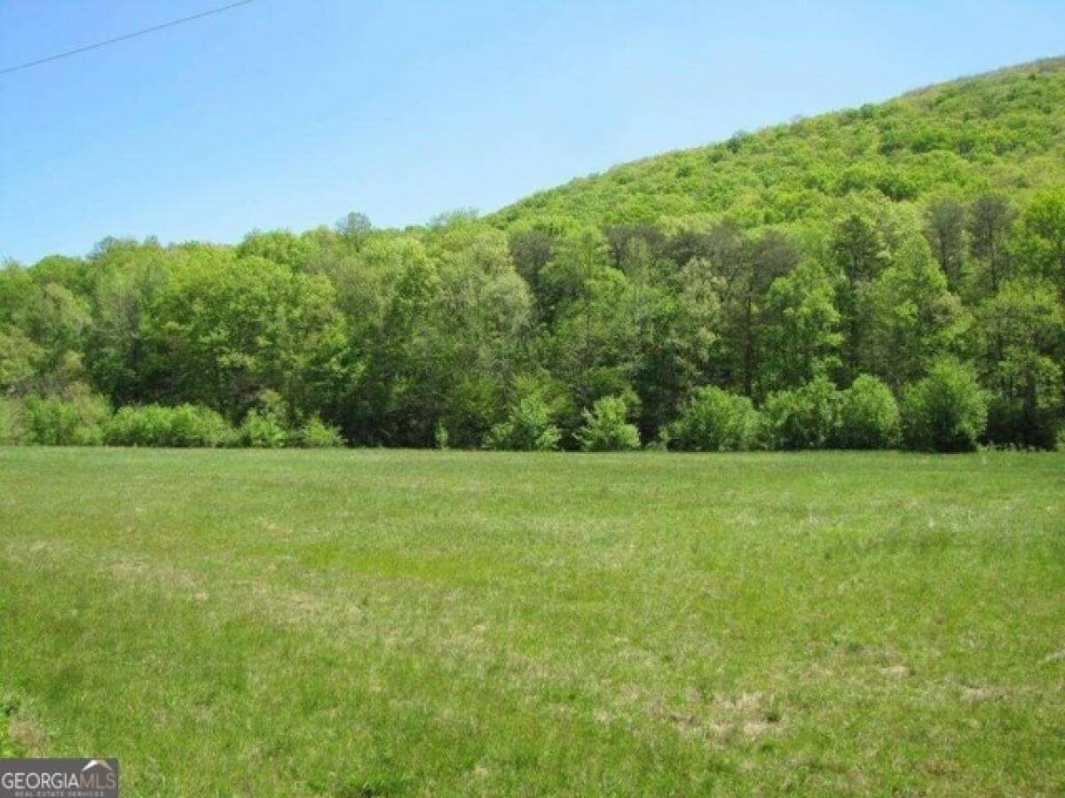 Picture of Residential Land For Sale in Chickamauga, Georgia, United States
