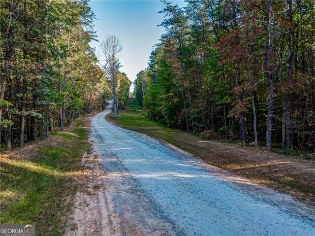 Picture of Residential Land For Sale in Ball Ground, Georgia, United States