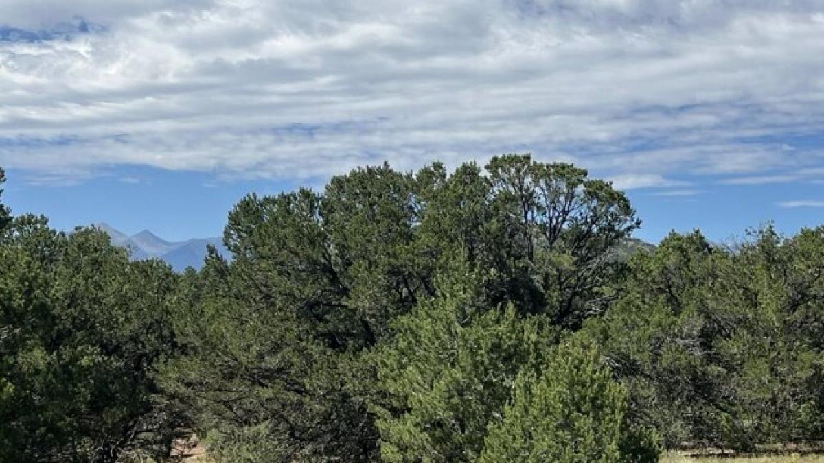 Picture of Residential Land For Sale in Cotopaxi, Colorado, United States