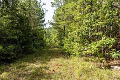 Residential Land For Sale in Marion, Alabama