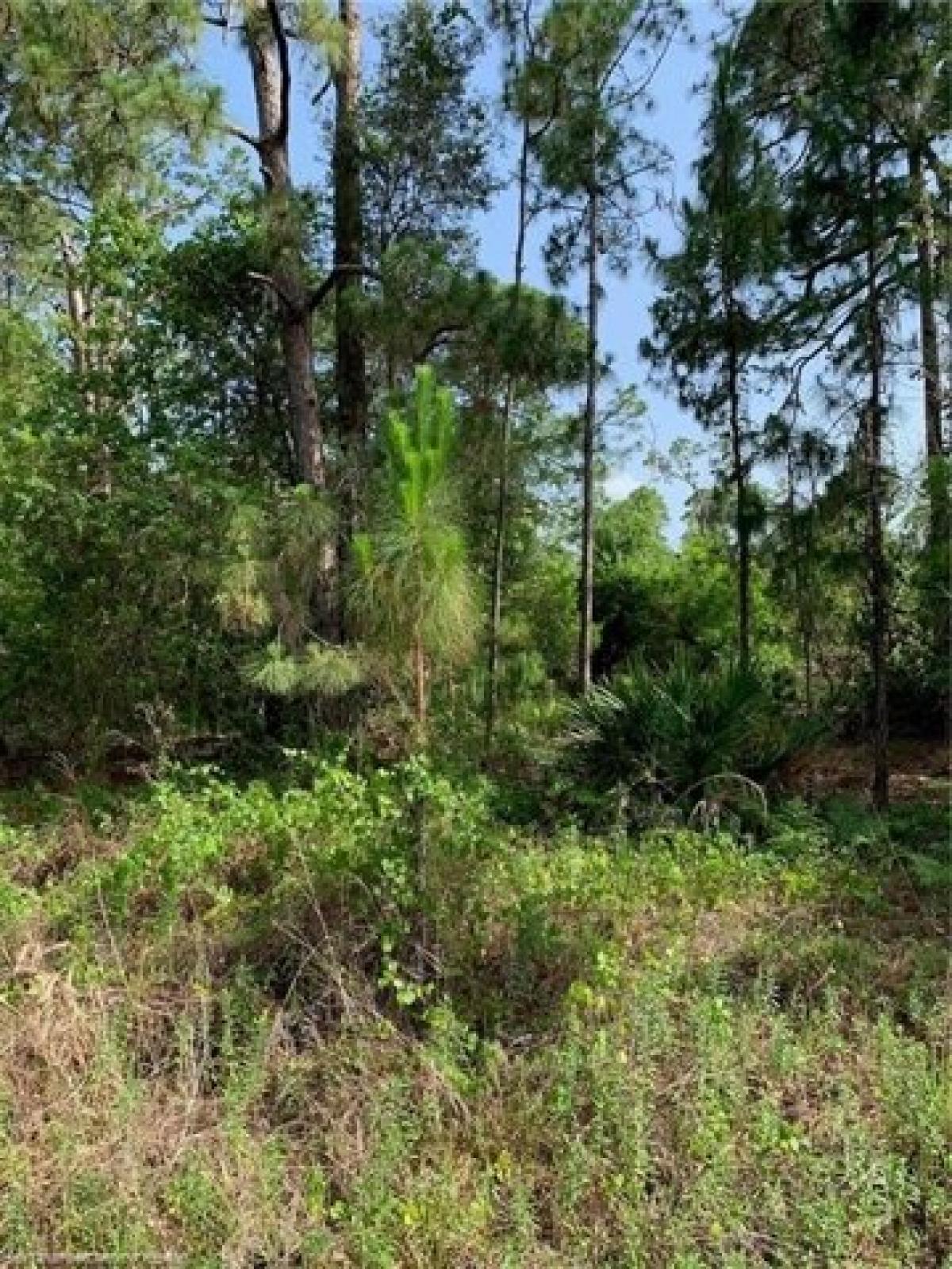 Picture of Residential Land For Rent in Sebring, Florida, United States