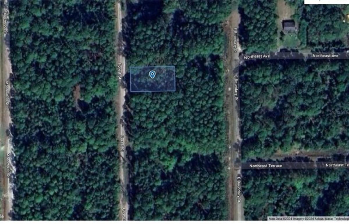 Picture of Residential Land For Rent in Georgetown, Florida, United States