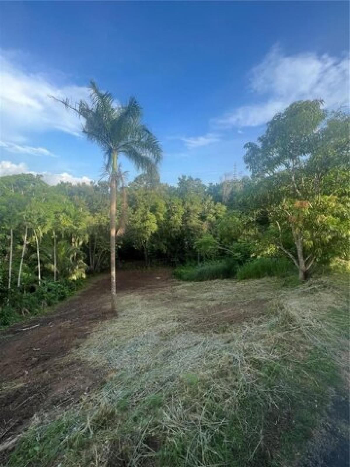 Picture of Residential Land For Sale in Rincon, Georgia, United States