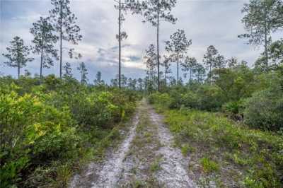 Residential Land For Sale in Fort Mccoy, Florida