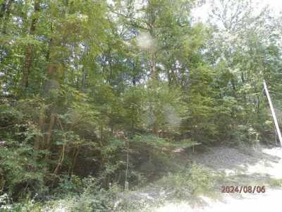 Residential Land For Sale in Waterloo, Alabama