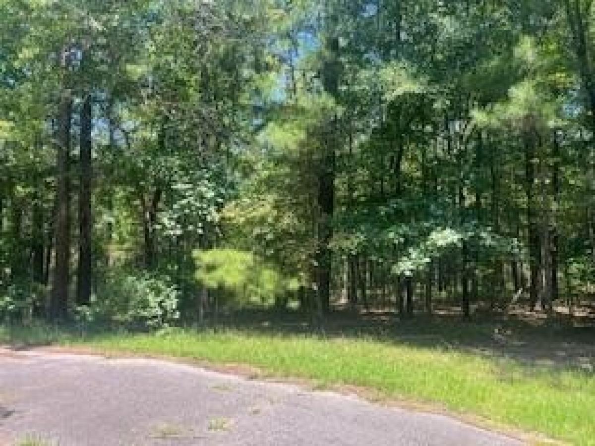 Picture of Residential Land For Rent in Mccormick, South Carolina, United States