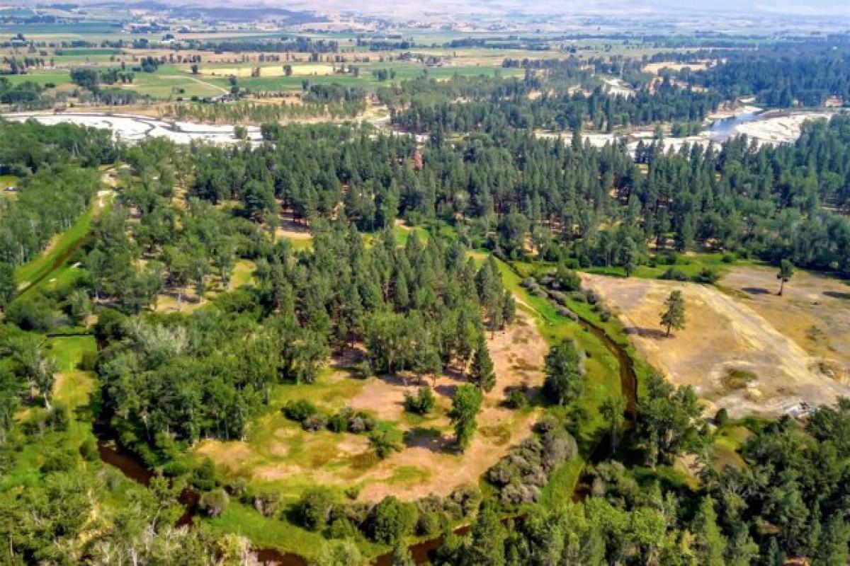 Picture of Residential Land For Sale in Victor, Montana, United States