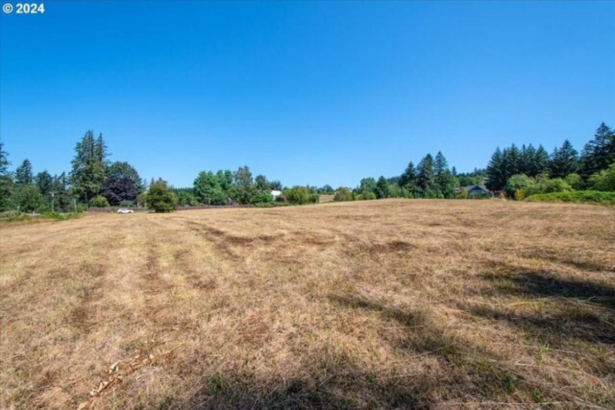 Picture of Residential Land For Sale in Washougal, Washington, United States