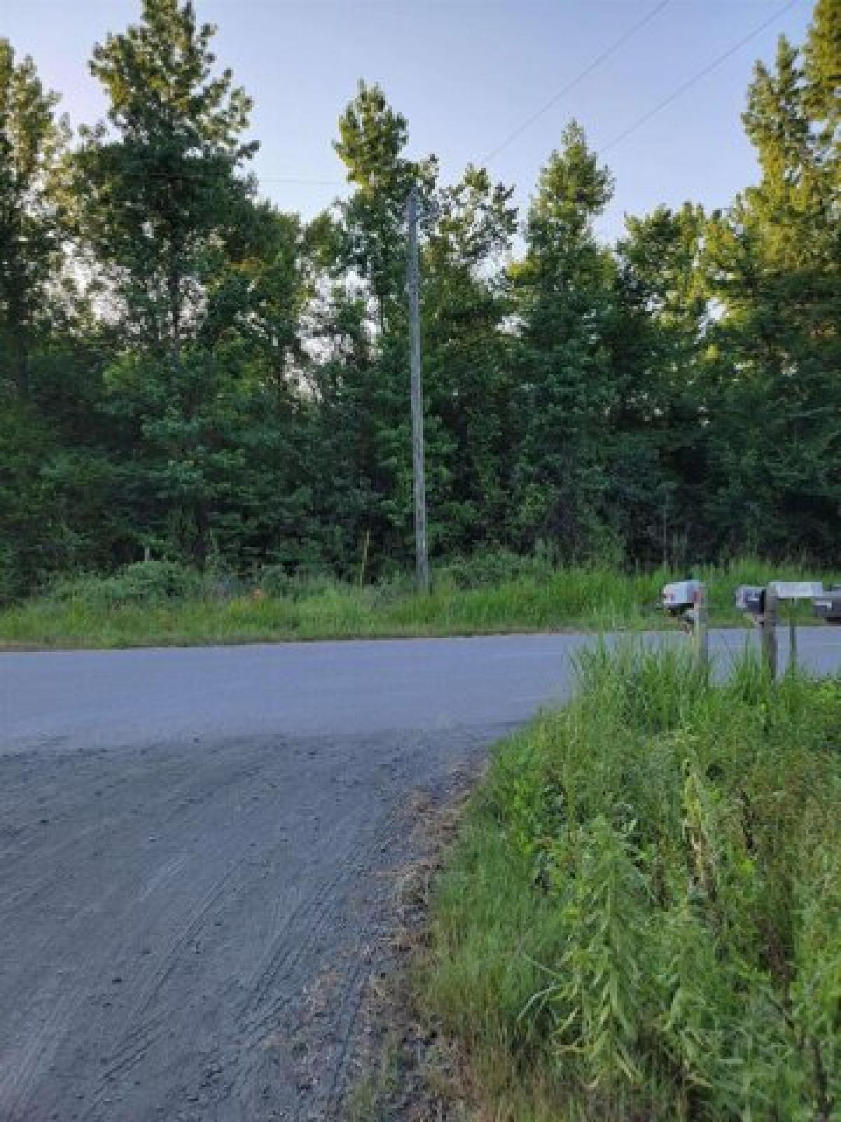 Picture of Residential Land For Rent in Mayflower, Arkansas, United States