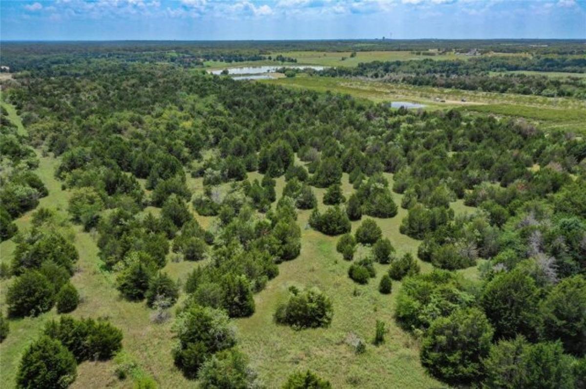 Picture of Residential Land For Sale in Terrell, Texas, United States