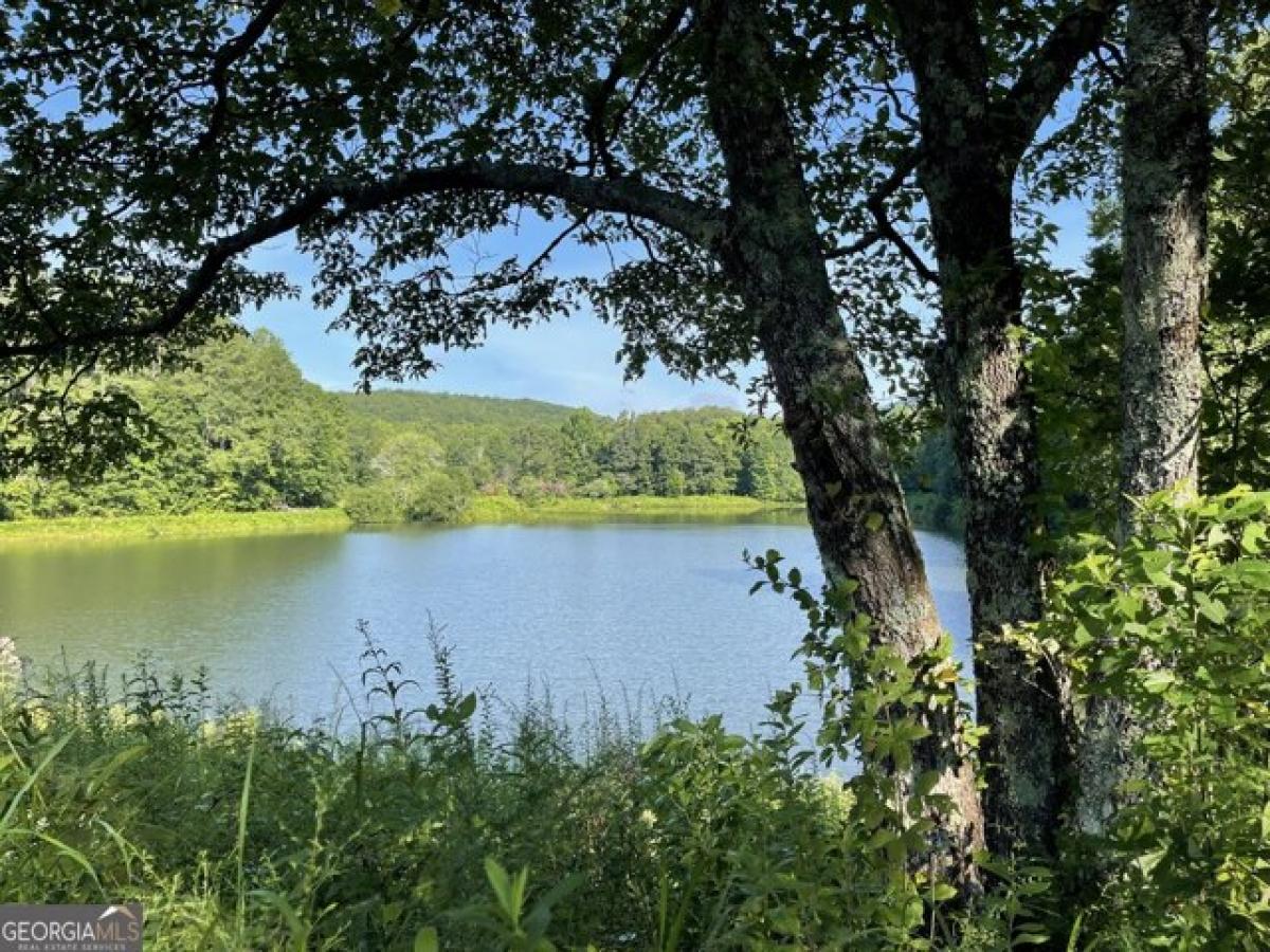 Picture of Residential Land For Sale in Dawsonville, Georgia, United States