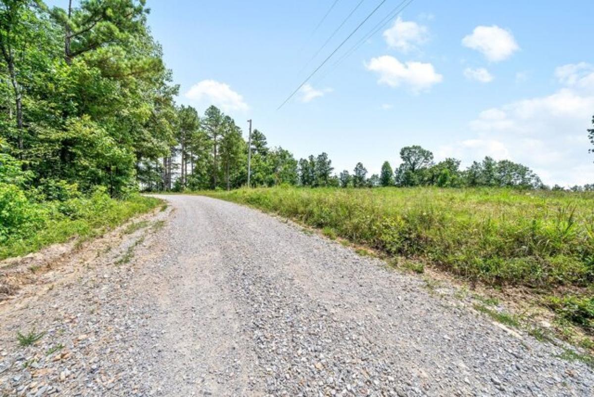 Picture of Residential Land For Sale in Stewart, Tennessee, United States