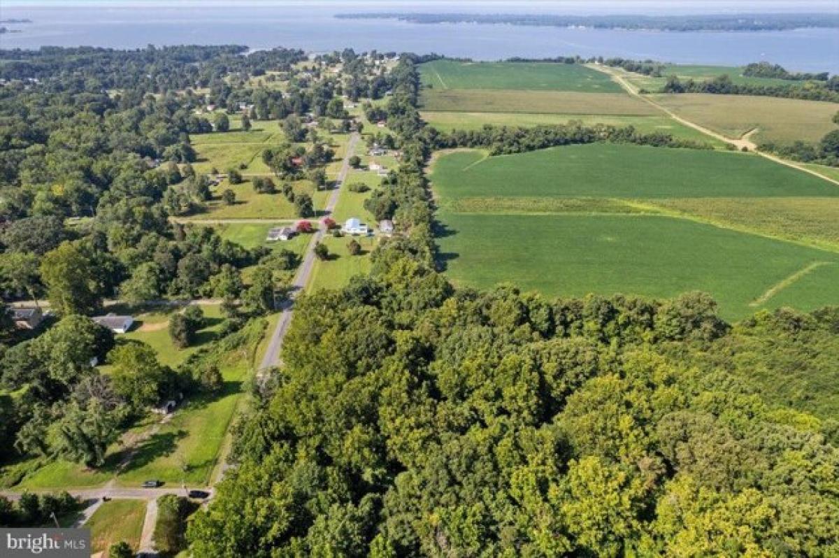 Picture of Residential Land For Sale in Bushwood, Maryland, United States