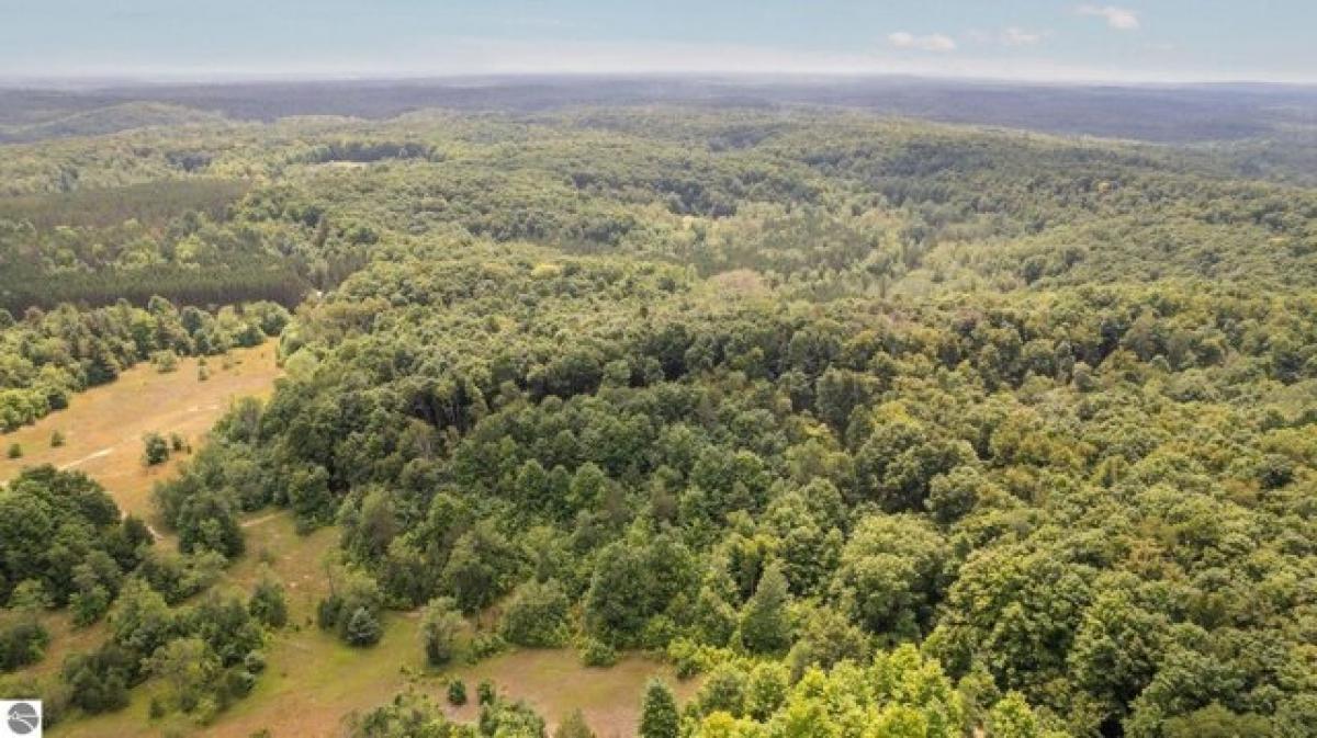 Picture of Residential Land For Sale in Mancelona, Michigan, United States