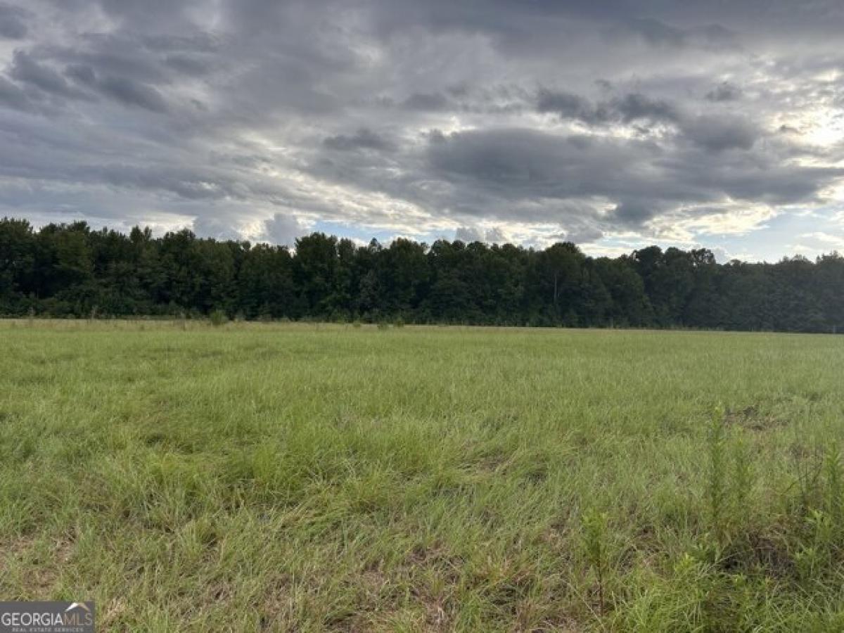 Picture of Residential Land For Sale in Louisville, Georgia, United States