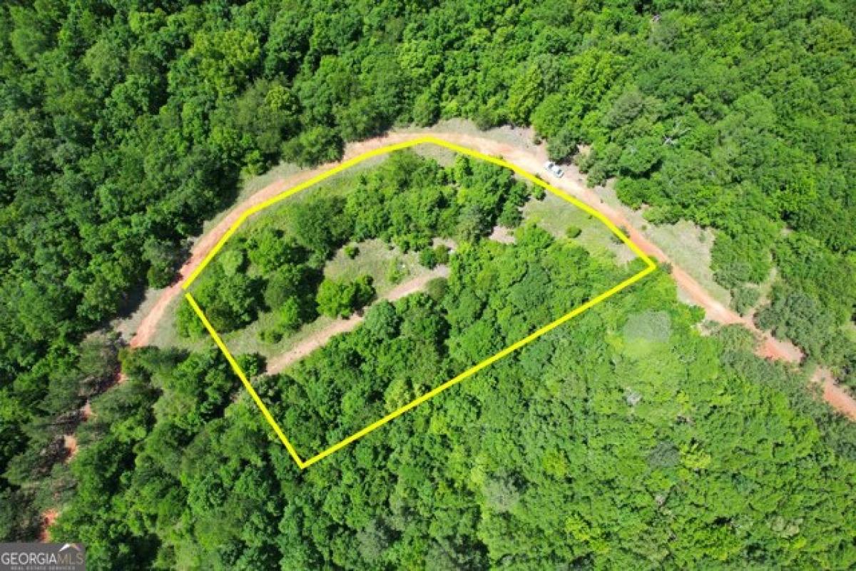 Picture of Residential Land For Sale in Louisville, Georgia, United States