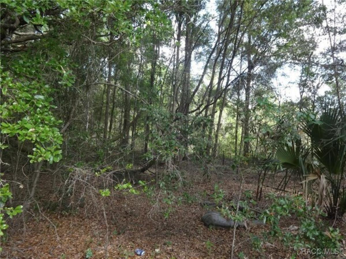 Picture of Residential Land For Rent in Crystal River, Florida, United States