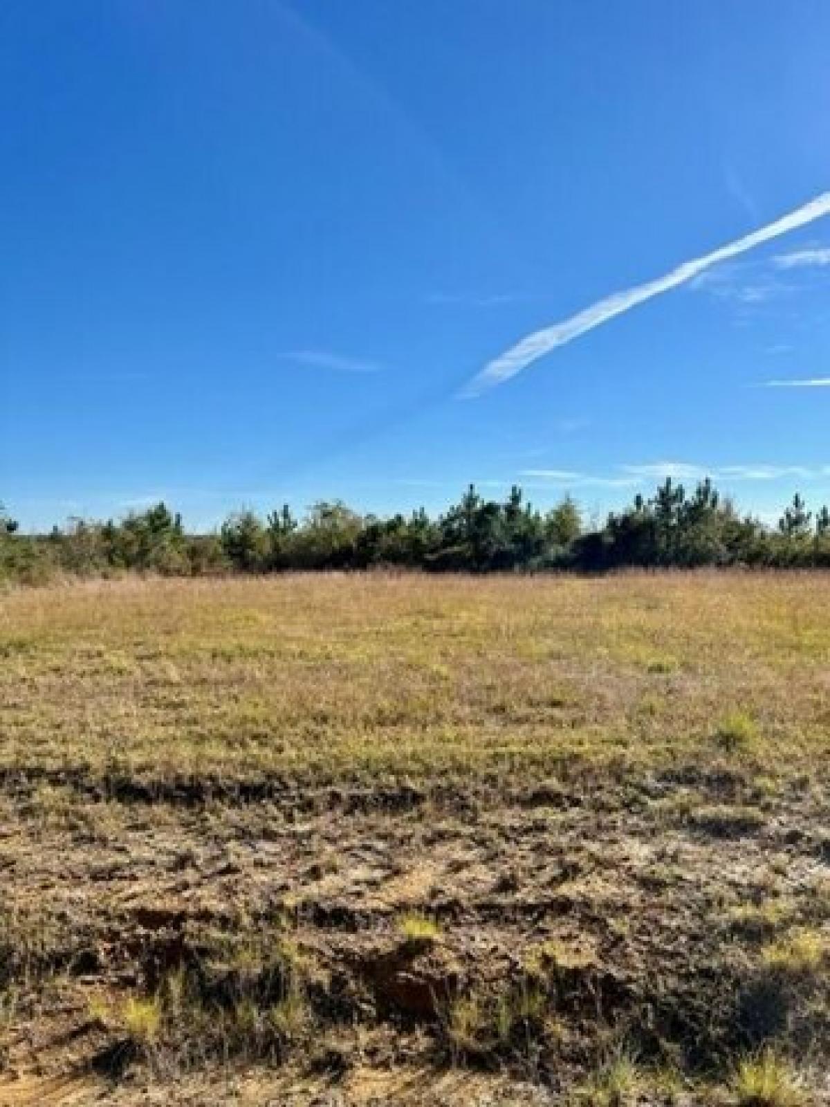 Picture of Residential Land For Sale in Deridder, Louisiana, United States