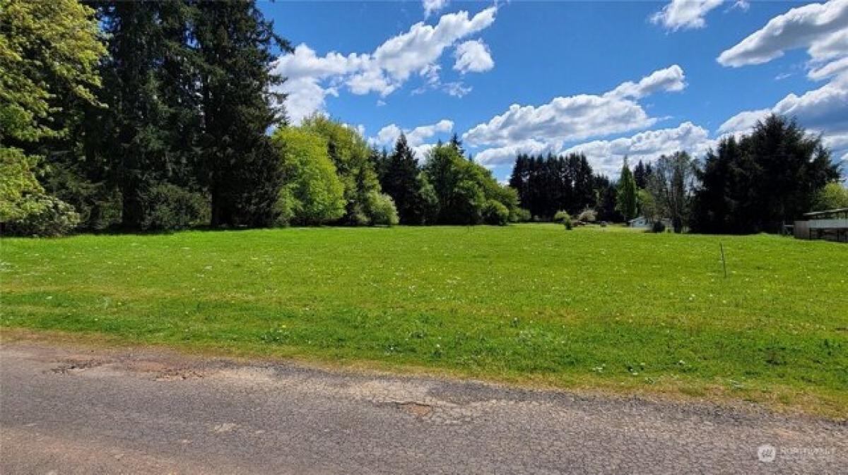 Picture of Residential Land For Sale in Winlock, Washington, United States
