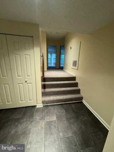 Apartment For Rent in Alexandria, Virginia