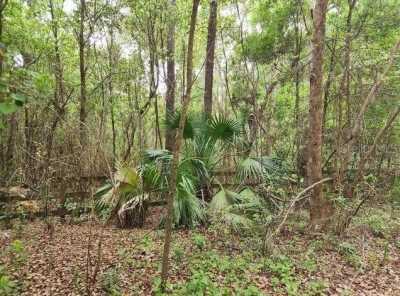 Residential Land For Sale in Weirsdale, Florida