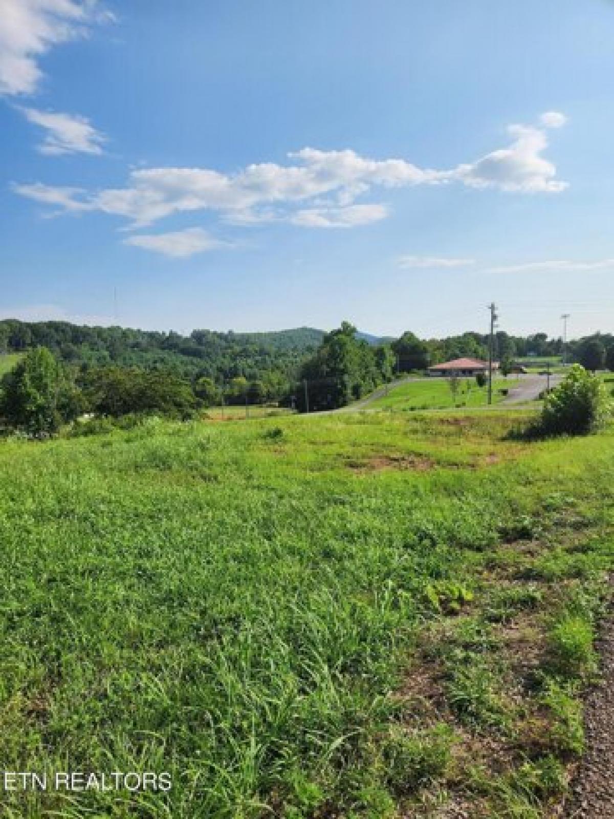 Picture of Residential Land For Sale in Tellico Plains, Tennessee, United States