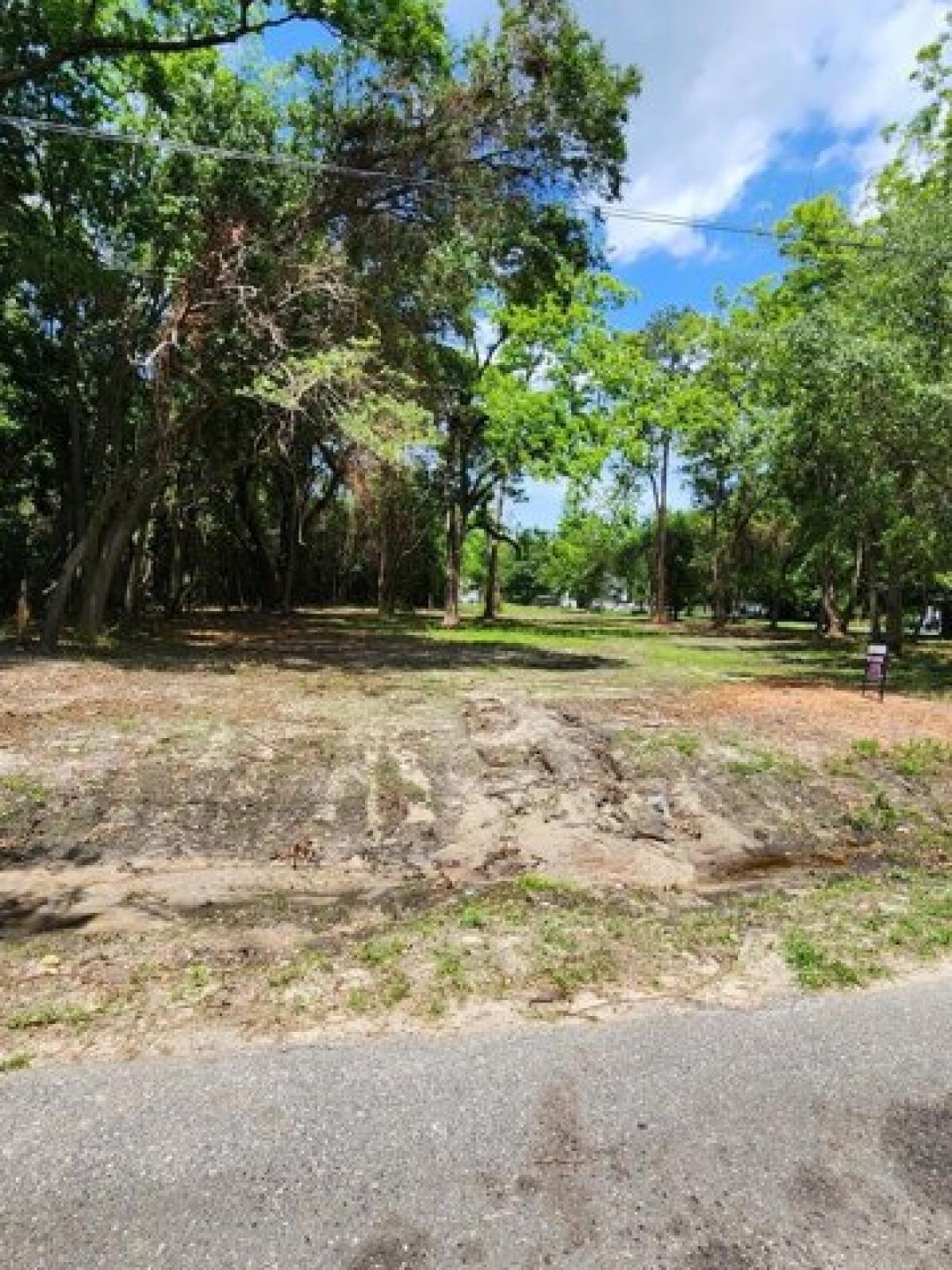 Picture of Residential Land For Sale in Pelham, Georgia, United States