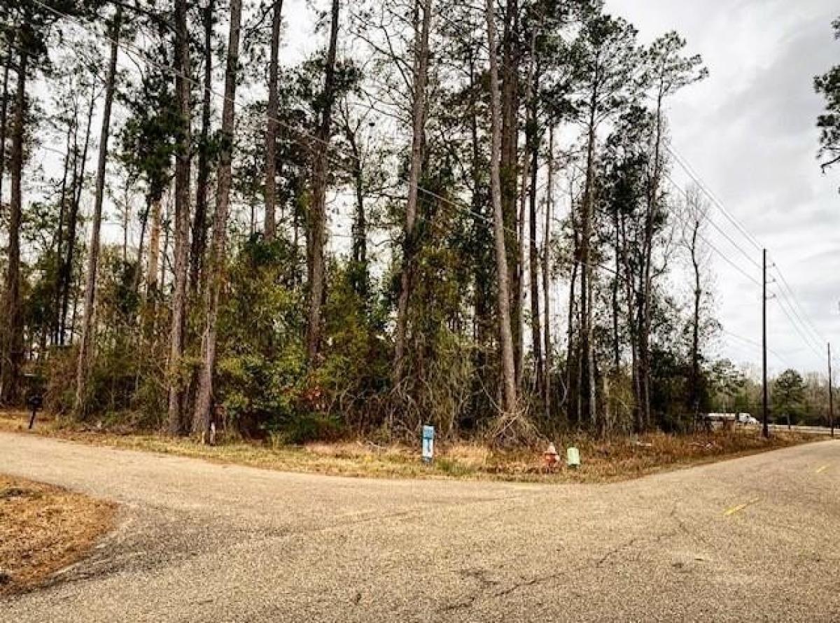 Picture of Residential Land For Sale in Hammond, Louisiana, United States