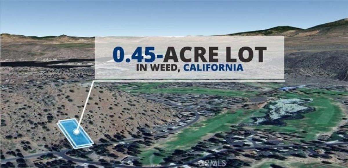 Picture of Residential Land For Rent in Weed, California, United States