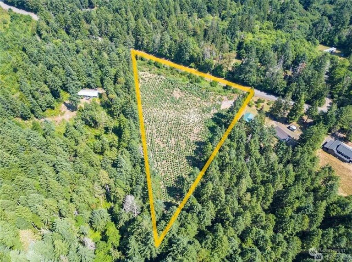 Picture of Residential Land For Sale in Lakebay, Washington, United States