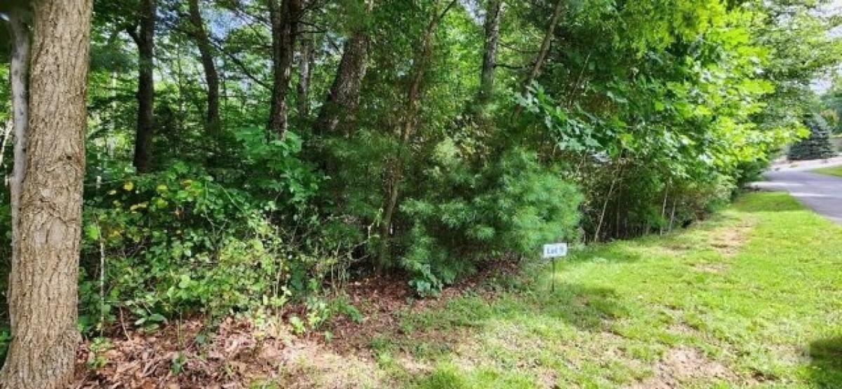 Picture of Residential Land For Sale in Burnsville, North Carolina, United States
