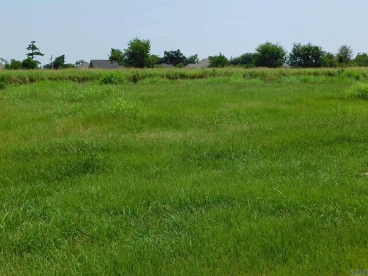 Picture of Residential Land For Sale in Cut Off, Louisiana, United States