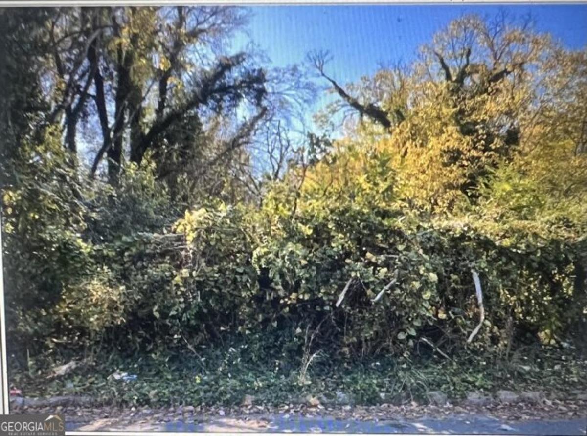 Picture of Residential Land For Sale in Rome, Georgia, United States