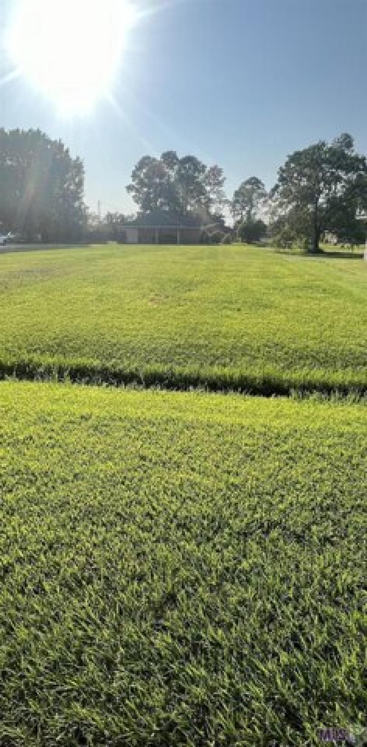 Picture of Residential Land For Sale in Donaldsonville, Louisiana, United States