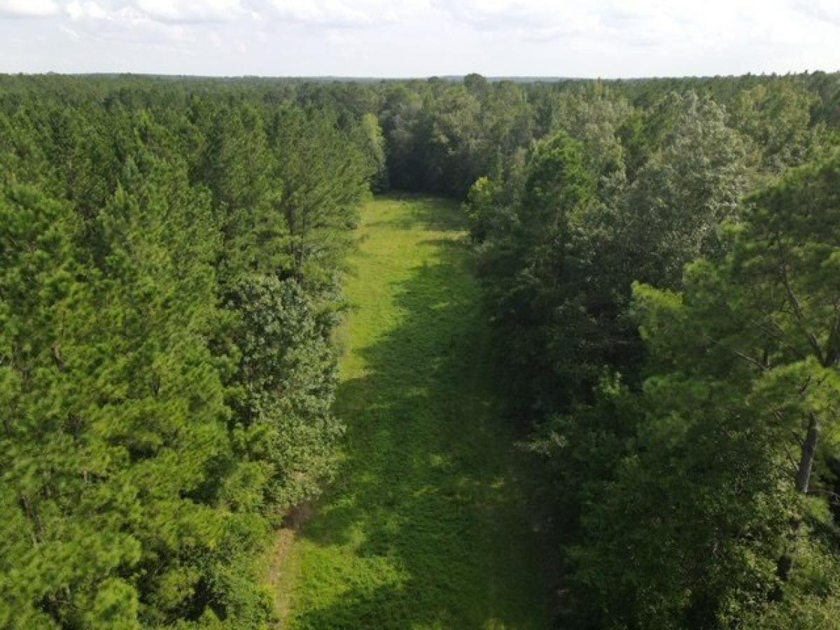 Picture of Residential Land For Sale in Mount Vernon, Georgia, United States