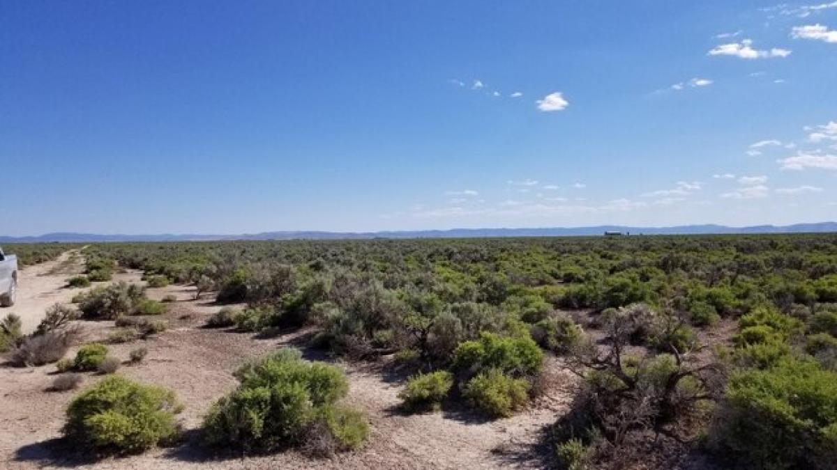 Picture of Residential Land For Rent in Beryl, Utah, United States