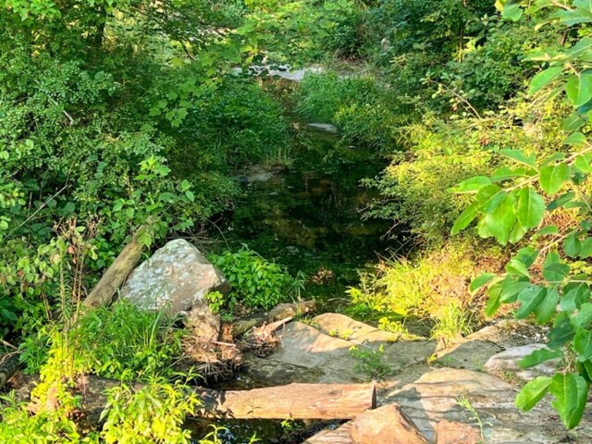 Picture of Home For Sale in Licking, Missouri, United States