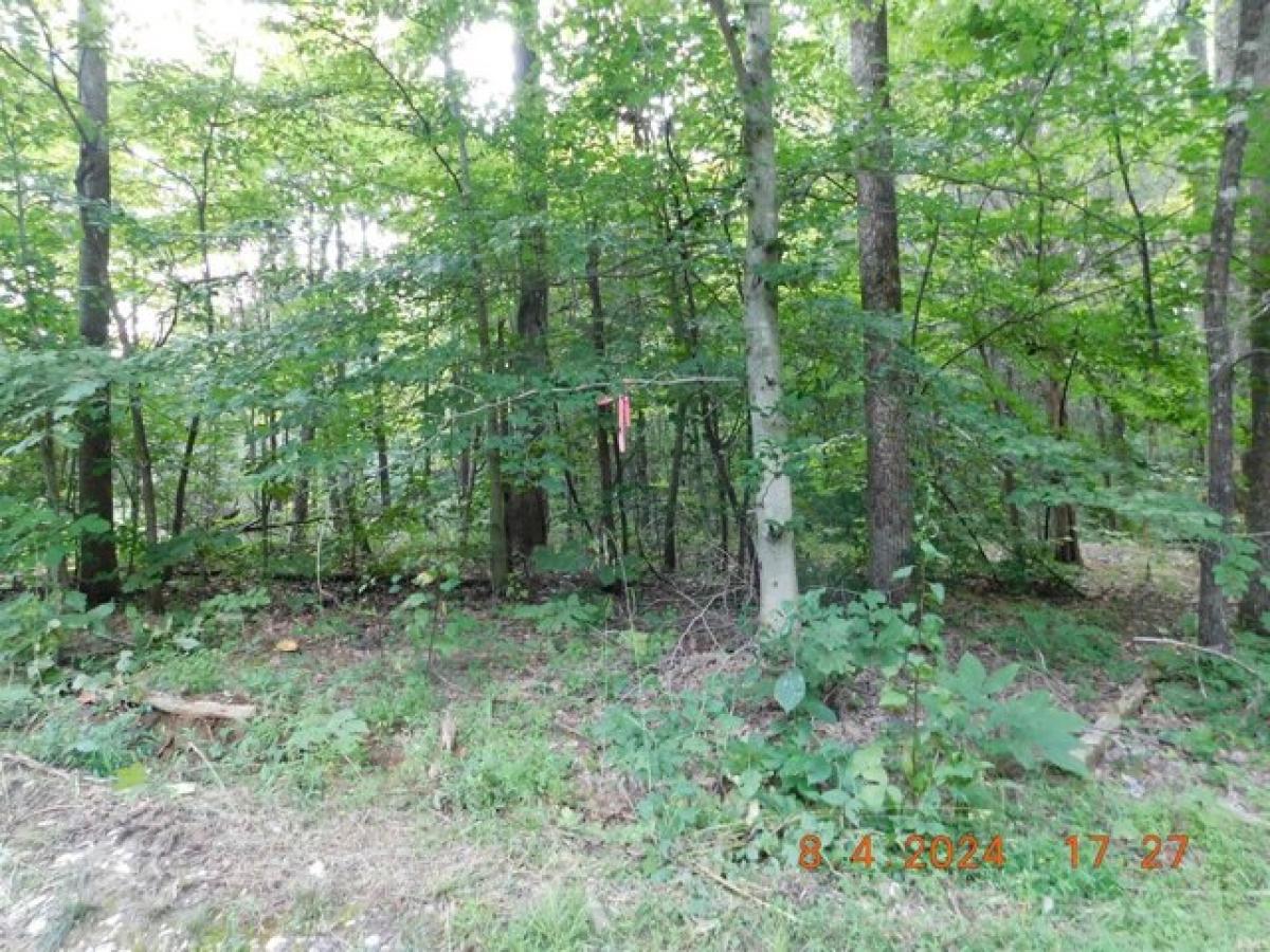 Picture of Home For Sale in English, Indiana, United States