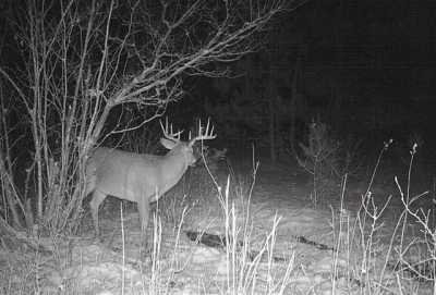 Residential Land For Sale in 