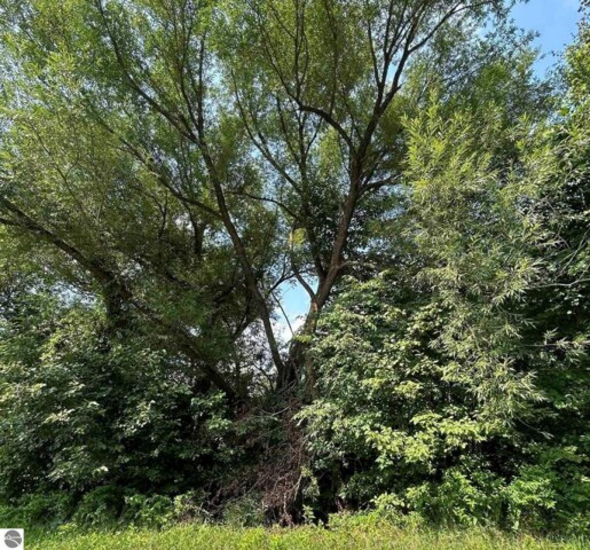 Picture of Residential Land For Sale in Alger, Michigan, United States