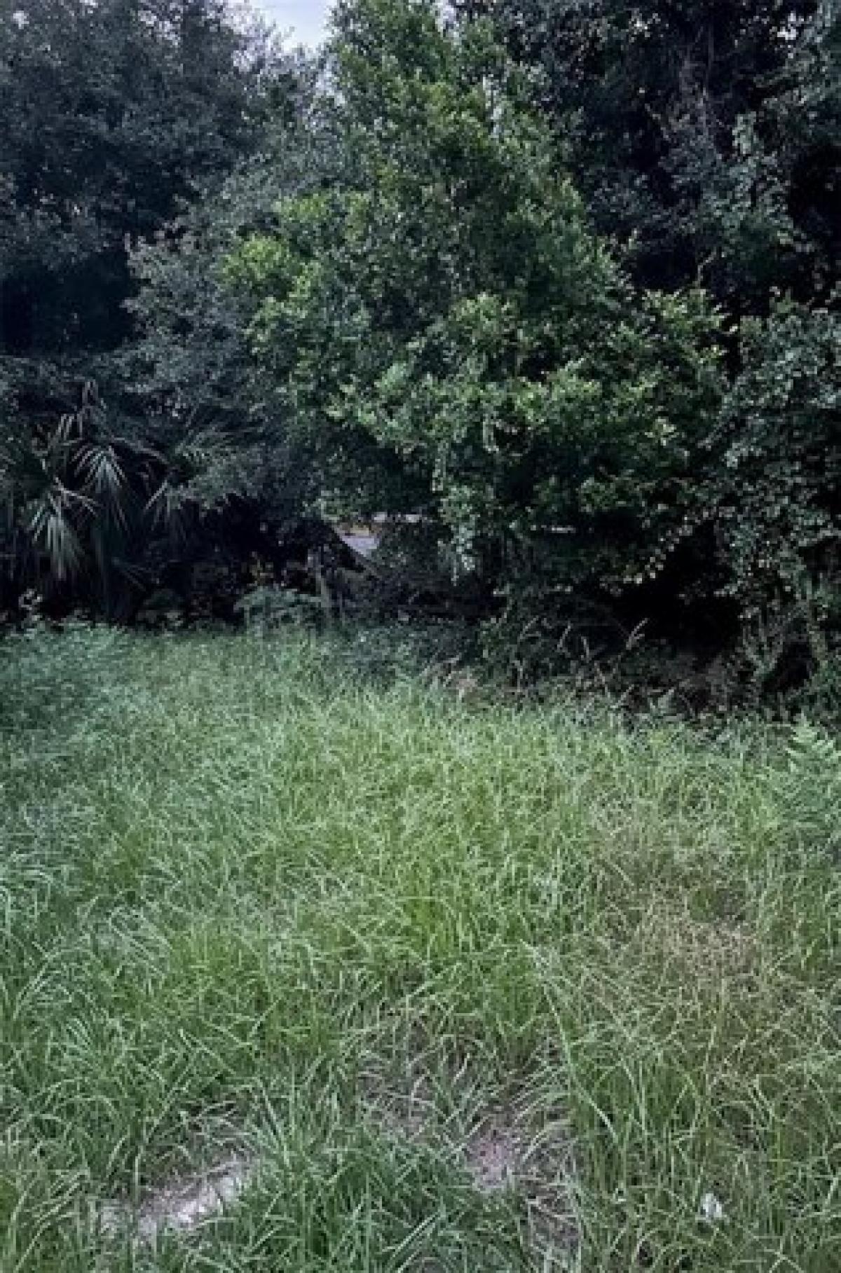 Picture of Residential Land For Rent in Umatilla, Florida, United States