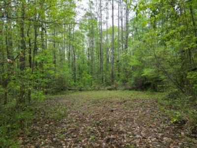 Residential Land For Sale in