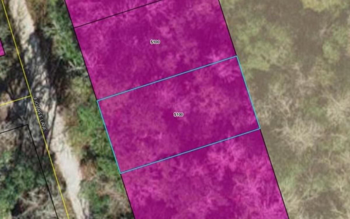 Picture of Residential Land For Rent in Crawfordville, Florida, United States