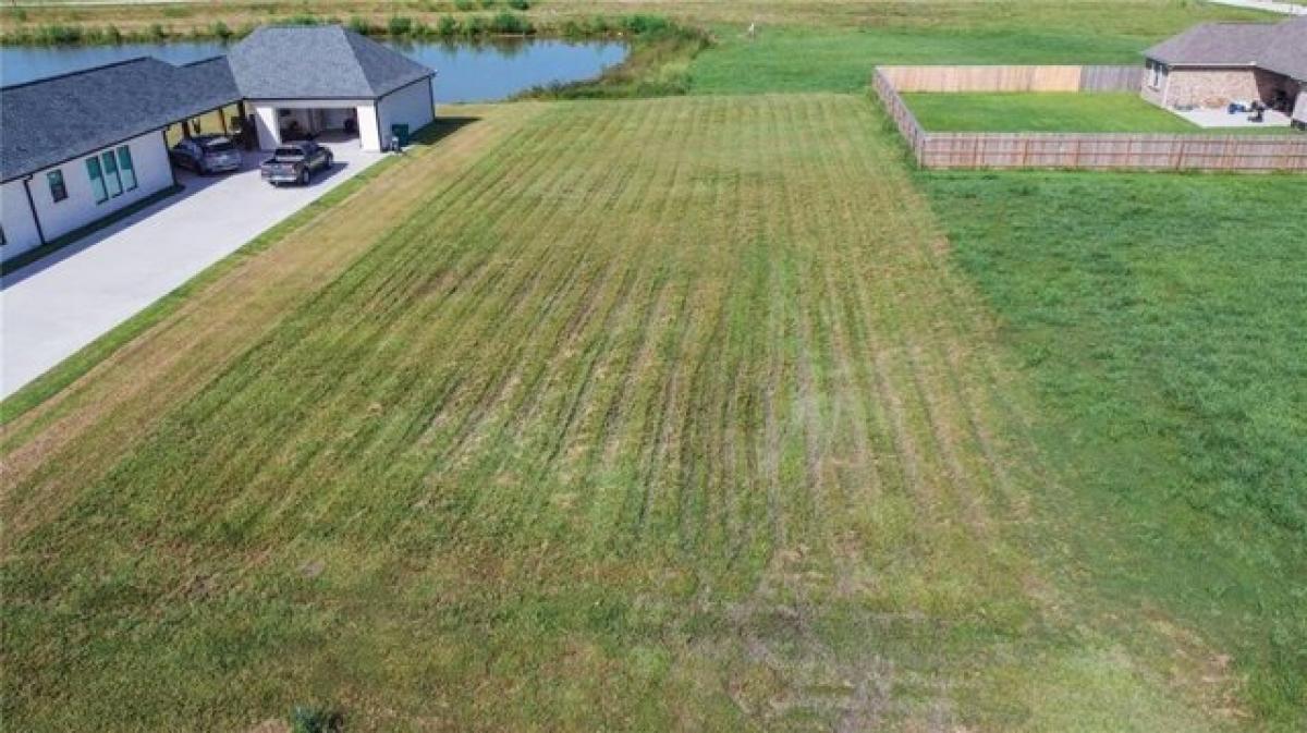 Picture of Residential Land For Sale in Paulina, Louisiana, United States