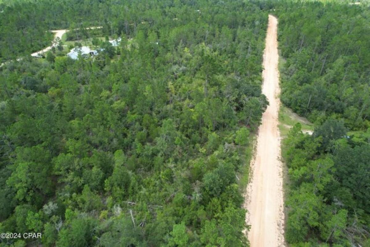 Picture of Residential Land For Rent in Alford, Florida, United States