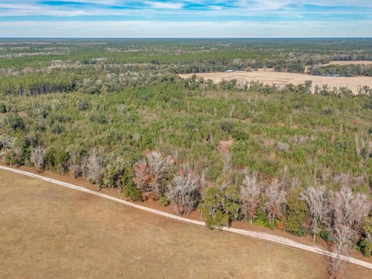 Picture of Residential Land For Sale in Crawfordville, Florida, United States